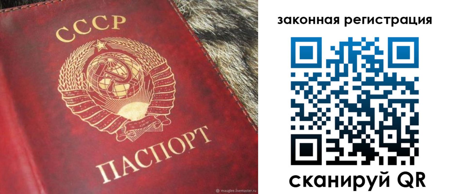 прописка от собственника в Твери